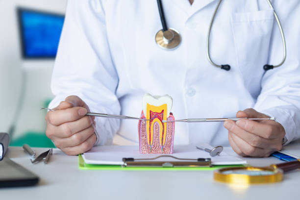 Best Emergency Orthodontic Services in Archbold, OH